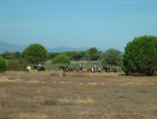  Caminhada equestre nas montanhas 